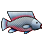 K – Fish & Parts of Fish