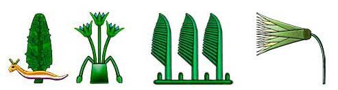 Egyptian Hieroglyphs